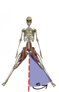 فتح الحوض الجانبي