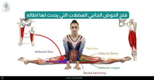 فتح الحوض الجانبي العضلات التي يحدث لها اطاله