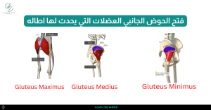 _فتح الحوض الجانبي العضلات التي يحدث لها اطاله ٦
