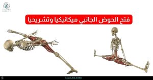 فتح الحوض الجانبي ميكانيكيا وتشريحيا 1