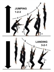 الاعداد المهاري في الجمباز
