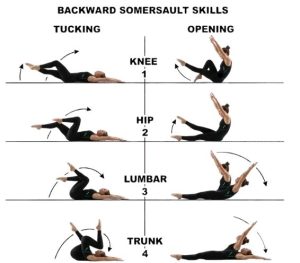 الاعداد المهاري في الجمباز