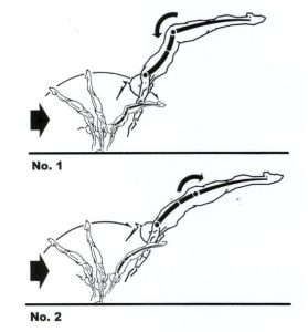 الاعداد المهاري في الجمباز