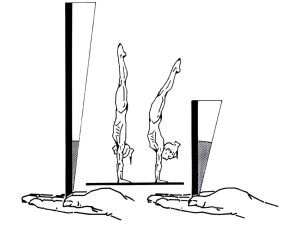 تعليم الوقوف علي اليدين