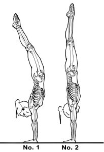 تعلم الوقوف على اليدين في الجمباز (Handstand): الدليل الكامل خطوة بخطوة للمبتدئين