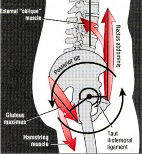 خطوات تعليم الوقوف علي اليدين Handstand