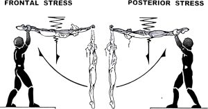 خطوات تعليم الوقوف علي اليدين Handstand
