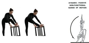 فتح الحوض في الجمباز الدليل العلمي لتطوير المرونة وزيادة المدى الحركي