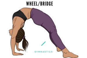 كيفية تعلم حركة الـ Bridge في الجمباز للمبتدئين خطوة بخطوة (دليل شامل)