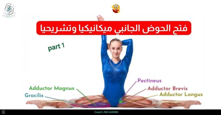 فتح الحوض الجانبي ميكانيكيا وتشريحيا