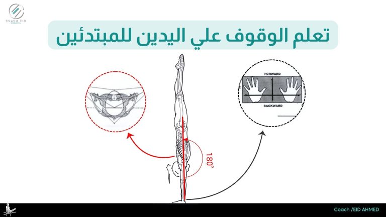 تعلم الوقوف على اليدين في الجمباز (Handstand): الدليل الكامل خطوة بخطوة للمبتدئين