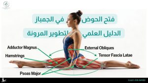 تعلم فتح الحوض : الدليل العلمي لتطوير المرونة وزيادة المدى الحركي